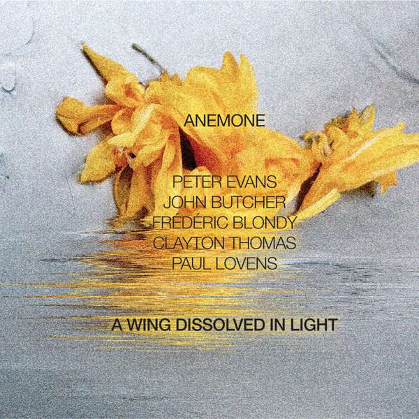 A Wing Dissolved in Light