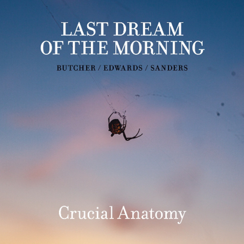 Crucial Anatomy art